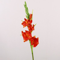 Fleur artificielle de gladiole en latex souple de haute qualité W-A0285, toucher réel, pour la décoration de la maison, de mariage et de remise de diplôme