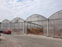 Serre agricole circulaire en film plastique traité anti-UV pour la culture de tomates, avec structure tubulaire et couche unique pour la culture de légumes