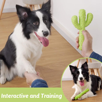 Jouets à mâcher interactifs pour chiens Cactus en caoutchouc Durable pour mâcheurs agressifs Petit/moyen chien formation dents nettoyage Carton