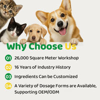Tabletas de Apoyo Urinario para Mascotas OEM ODM, Arándano Rojo, D-Manosa, Astrágalo, Vitamina C, Fórmula Natural, Absorción Rápida, Halal/Kosher