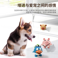 Fabricant de jouets pour animaux de compagnie Jouet en latex pour chien à mâcher et à faire du bruit Jouet pour faire ses dents Déchirer Porc Poulet Grenouille Hérisson Hunan