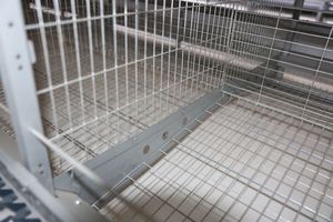Système de cages à <span class=keywords><strong>poules</strong></span> pondeuses haut de gamme avec alimentation et abreuvement automatiques, collecte d'œufs et solutions de système d'évacuation automatique du fumier - Product Image 6