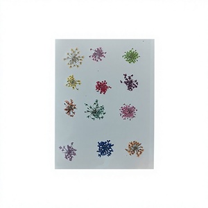 Cosmico Ventures Pressed Dried Flower Nail Art Decals 3D Floral Stickers Real Flower Lace From West Bengal for Manicure Decor - Product Image 1