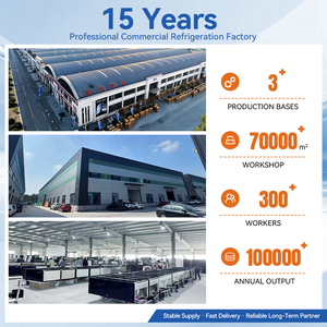 Réfrigérateur à <span class=keywords><strong>bar</strong></span> portable CE/RoHS personnalisé à 2 portes, refroidisseur de bière, réfrigérateur à vin professionnel, réfrigérateur commercial de hauteur de comptoir pour <span class=keywords><strong>bar</strong></span> - Product Image 5