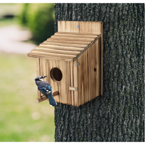 Casas <span class=keywords><strong>de</strong></span> pájaros <span class=keywords><strong>de</strong></span> madera <span class=keywords><strong>para</strong></span> exterior con poste Casa <span class=keywords><strong>de</strong></span> pájaros <span class=keywords><strong>de</strong></span> madera <span class=keywords><strong>para</strong></span> Pinzón Bluebird Cardinals Casa <span class=keywords><strong>de</strong></span> pájaros colgante Jardín <span class=keywords><strong>de</strong></span> liquidación - Product Image 2