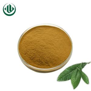 20% 25% 50% 98% de Ácido Ursólico <span class=keywords><strong>Loquat</strong></span> Eriobotrya Japonica Extrato Da Folha <span class=keywords><strong>Loquat</strong></span> Extrato de Folhas Em Pó - Product Image 3