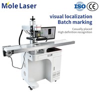 Machine de marquage laser à fibre 20W 30W 50W avec positionnement visuel pour marquage par lots sur convoyeur EZCAD CE ISO FDA