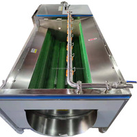 Machine de nettoyage automatique de rouleau de cheveux 500Kg Machine de nettoyage d'épluchage de manioc Machine de fabrication de frites