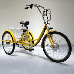 Vélo électrique de 20 pouces avec moteur sans balais de 250 W, batterie 48 V 12 Ah, capacité de charge de 100 kg - Product Image 1