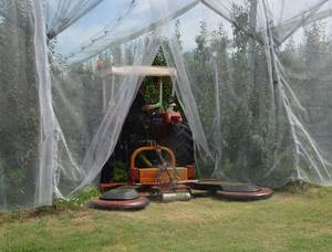 La mejor <span class=keywords><strong>venta</strong></span>, larga vida útil, Red a prueba de insectos agrícolas, red antiinsectos para casas verdes - Product Image 6