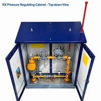 Boîtier de régulation de pression de gaz GPL/propane/gaz naturel série RX, construction métallique, garantie 1 an