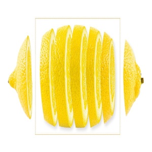 Fabbricazione della cina <span class=keywords><strong>di</strong></span> Alta Qualità <span class=keywords><strong>di</strong></span> <span class=keywords><strong>Limone</strong></span> Fette <span class=keywords><strong>di</strong></span> Fornitura <span class=keywords><strong>di</strong></span> Frutta Secca Tè Al <span class=keywords><strong>Limone</strong></span> - Product Image 5