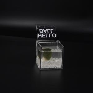 Terrario de Acrílico Transparente y Duradero para Plantas, Venta al por Mayor de Fábrica, Decoración Versátil para Plantas Verdes - Product Image 2