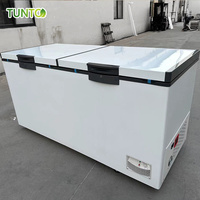 Congélateur Solaire Coffre Profond 698L/1280L Fonctionnant sur Batterie Compresseur DC 24V Intégré pour Usage Domestique Stockage de Poisson