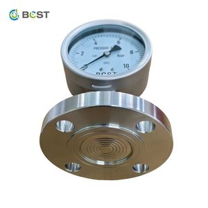 BCST Diaphragm <b>Gauge</b> With -0.1MPa to 60MPa Range 1-Year Warranty OEM/ODM Customization Made in Jiangsu Jiangsu Made Gau Jiangsu - Product Image 4
