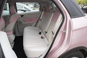 Voiture d'<span class=keywords><strong>occasion</strong></span> Geely Geometry E Firefly, mini <span class=keywords><strong>véhicule</strong></span> électrique avec une autonomie <span class=keywords><strong>de</strong></span> 301 km, esthétique haut <span class=keywords><strong>de</strong></span> gamme, conduite à gauche - Product Image 5
