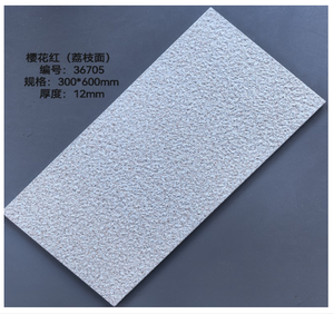 Carreaux <span class=keywords><strong>de</strong></span> <span class=keywords><strong>sol</strong></span> en porcelaine antidérapants, épaisseur 12 mm, 300x600 mm, carreaux <span class=keywords><strong>de</strong></span> cour extérieure au design moderne - Product Image 1