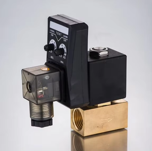 Vanne solénoïde de purge automatique en laiton 16 bars CS728 1/2 pouce 12V, vannes haute pression pour l'eau, garantie 2 ans, fabriqué en Chine - Product Image 5