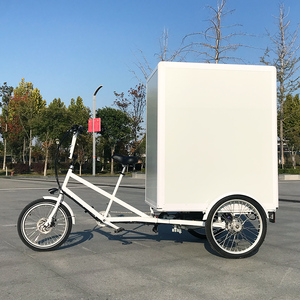 Vélo cargo électrique 500w avec moteur Mini <span class=keywords><strong>Van</strong></span> <span class=keywords><strong>Bike</strong></span> Cargo Trikes 3 roues Cargo <span class=keywords><strong>Bike</strong></span> à vendre - Product Image 6