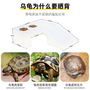 Terrario Rectangular de Plástico con Plataforma para Tomar el Sol y Filtro para Reptiles y Anfibios - Product Image 4