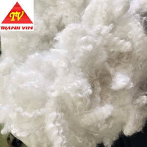 Polyester ổn định sợi nguyên liệu trong Việt Nam HCS/HC/HS <span class=keywords><strong>PSF</strong></span> cho điền gối ghế sofa đồ chơi từ <span class=keywords><strong>PSF</strong></span> thực vật-ms. Florence - Product Image 3
