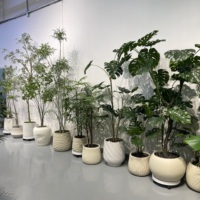 Arbre d'olivier artificiel en pot, plante décorative à feuilles réalistes pour la décoration intérieure, commande en gros pour les entreprises