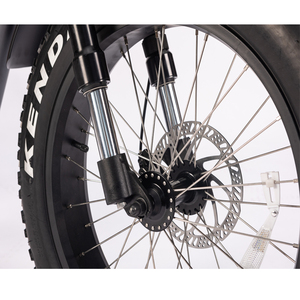 Nouveau Vélo Électrique Baogl pour Femme, 20 Pouces, Suspension Arrière, Style Rétro, Fatbike Tout-Terrain ATV06 PRO - Product Image 5
