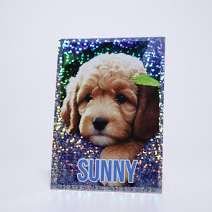 Pvc Enfants <span class=keywords><strong>Carte</strong></span> En Plastique <span class=keywords><strong>Solitaire</strong></span> Couple Graphique Trading <span class=keywords><strong>Classique</strong></span> <span class=keywords><strong>Jeu</strong></span> <span class=keywords><strong>De</strong></span> Société Fabricant Impression Cartes <span class=keywords><strong>De</strong></span> <span class=keywords><strong>Jeu</strong></span> Personnalisées - Product Image 3