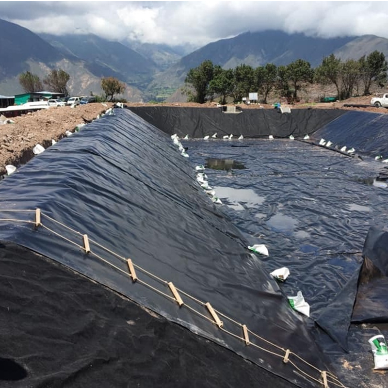 geomembrane application