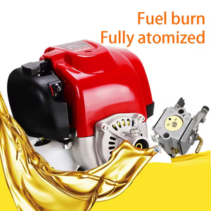 Desbrozadora <span class=keywords><strong>de</strong></span> motor <span class=keywords><strong>de</strong></span> 4 tiempos para agricultura multiusos, cortadora <span class=keywords><strong>de</strong></span> césped montada lateralmente, cortadora <span class=keywords><strong>de</strong></span> césped con motor <span class=keywords><strong>de</strong></span> <span class=keywords><strong>gasolina</strong></span>, mochila, cortacésped - Product Image 3