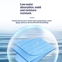 Vente chaude Panneau de mousse de polystyrène extrudé XPS industriel de 2 pouces pour l'isolation des bâtiments avec protection environnementale