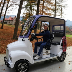 Holladay Chariot de golf touristique électrique à pédale en acier inoxydable 4 places pour shopping et cargo pour adultes Scooter électrique - Product Image 4