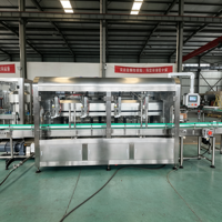 Machine de remplissage continue d'huiles comestibles avec pompe servo 12 têtes en acier inoxydable pour huile d'arachide, sauce moutarde, savon liquide