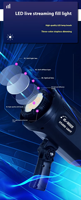 100W professionnel continu LED photographie lumière Audio vidéo Studio équipement d'éclairage pour Softbox éclairage photographique