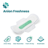 Serviettes hygiéniques respirantes à anions avec ailettes pour le contrôle quotidien des odeurs, marque distributeur, 245 mm