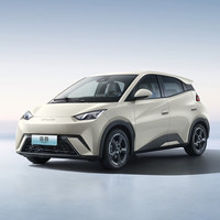 Voiture électrique BYD Seagull 405KM New Flying 2023 BYD Mini EV New 2023 BYD Seagull Fly 2024 New Energy Vehicles