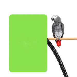 صحن تسخين قفص العصافير مربع وصديقي للعبور عبر الحدود مقاوم للماء سخان ببغاء الحيوانات الأليفة قطعة أثرية شتوية درجة حرارة ثابتة - Product Image 5