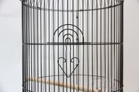 Cage à oiseaux d'élevage de Style chaud grandes Cages à oiseaux pour perroquets Style Aisa du sud-est avec les meilleurs services Cage pour animaux de compagnie