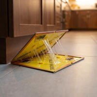 Piège à souris en carton collant sans poison et inodore, puissant et résistant, pour le contrôle des nuisibles domestiques