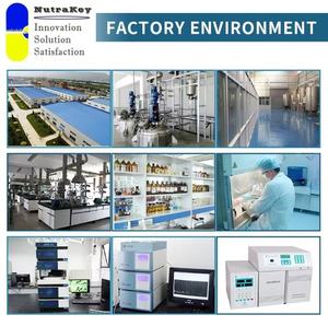 Alfa GPC %98,5 Toz, Bilişsel Gelişim ve Spor Beslenmesi için Yüksek Saflıkta Kolin Kaynağı - Product Image 6