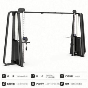 Équipement de musculation multifonctionnel pour la maison et usage commercial, Big Flying Bird Gantry, Small Cable Crossover, Haltères, Bold Pipe USA - Product Image 6