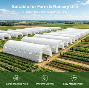 Invernadero Agrícola de Gran Tamaño con Cubierta de Película de PE, de un Solo Vano, para Cultivo y Plantación de Vegetales - Product Image 4