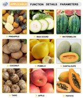 Winterkalebas & Meloen Schilmachine Fruit & Groente Watermeloen Dunschiller Efficiënte Fruit-En Groenteschilmachine