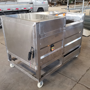 Máy lột gừng tự động 500 kg/giờ - Product Image 4