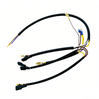 Arnés de cableado para portalámparas de coche personalizado con conector moldeado y cables terminales