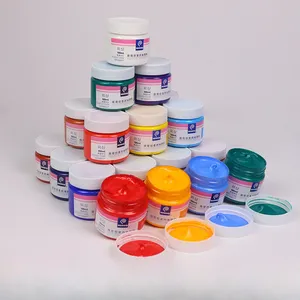 100 מ""ל סט צבעי ציור אקריליק בקבוק DIY ציור קיר מצוייר ביד 24 צבע צבע אקרילי סיטונאי