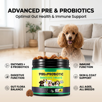 Probiotiques pour chiens : Complément alimentaire à succès pour la santé globale – Friandises à mâcher molles pour chiens