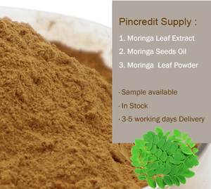 थोक पानी में घुलनशील मोरिंगा पत्ती निकालने पाउडर - Product Image 2