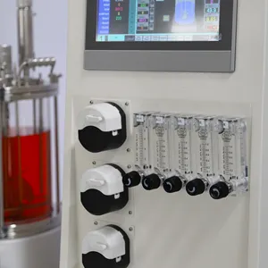 Lab1st Bioréacteur chimique de petit laboratoire 5l Bioréacteur en verre borosilicaté