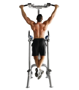 상업용 피트니스 트리 체육관 장비 수직 무릎 레이즈 턱/딥 스테이션 푸시 업 및 다리 레이즈 머신 - Product Image 5